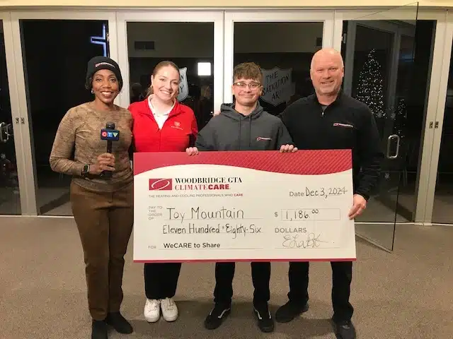 Toy Mountain Presentation